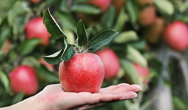 Jaki owoc pasuje do jabłek?